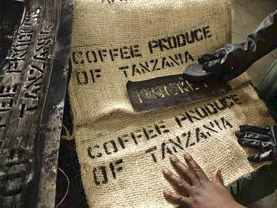 Con '¡Tierra!' duemila coltivatori in sei Paesi impegnati per un caffè sostenibile