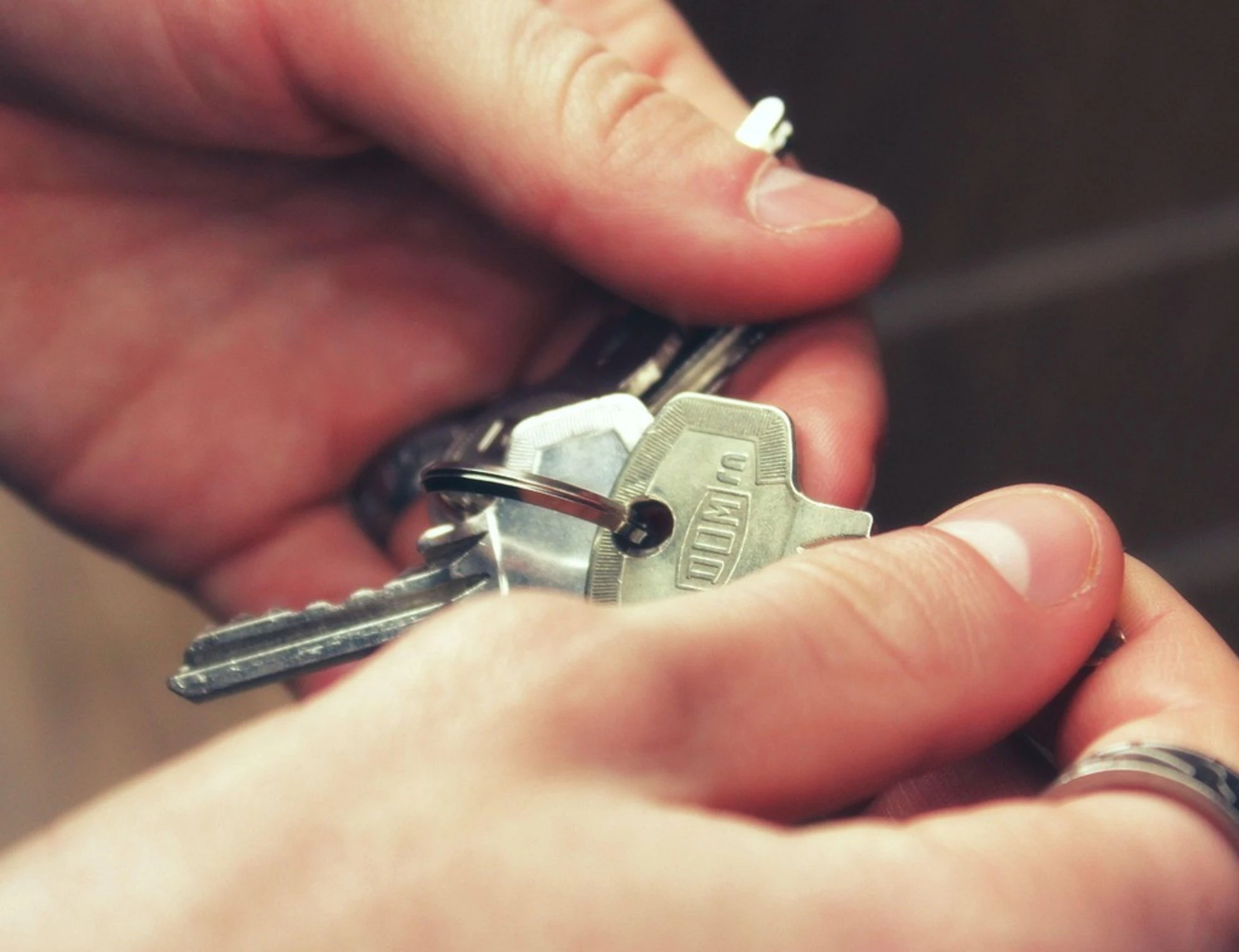 Ue, l'ultima follia: obbligo di affittare agli studenti