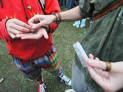 Droga, dubbi di costituzionalità sulla Fini-Giovanardi: atti a Consulta