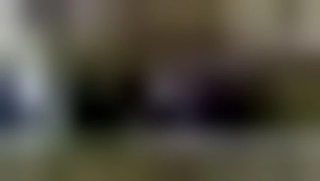 https://media.liberoquotidiano.it/qfDeYz-hZ_4SJbG4smCdnjUeVn5Rt-ARcsgke9pMFHc/width:800/quality:90/aW1hZ2VzLzIwMjYvMDcvMzEvMTM1NzMzNTk4LTBkZWE0ZDgyLTg4YjYtNDQ2Mi04NzQzLTNiYzRkZDA3ZmM4My5qcGc.webp