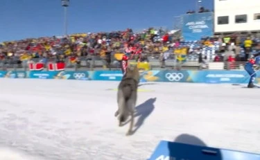 Milano-Cortina, all'improvviso spunta Nazgul: medaglia d'oro di spontaneità