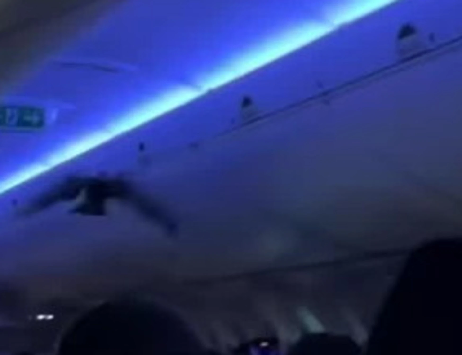 Usa, piccioni a bordo dell'aereo: si scatena il caos
