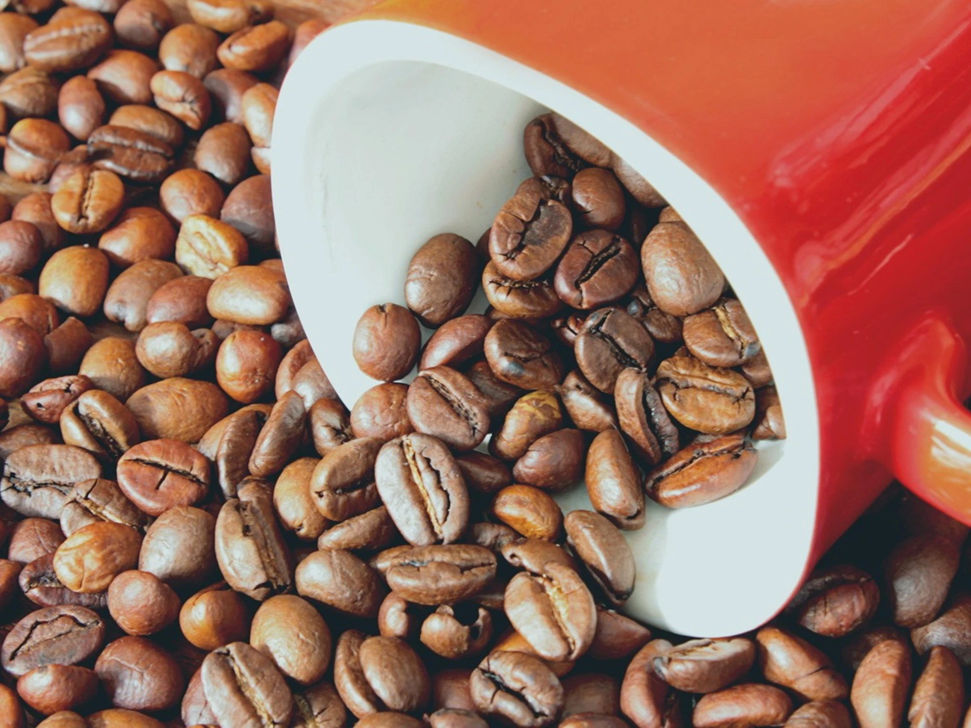 Caffè? Quando va bevuto e cosa si rischia