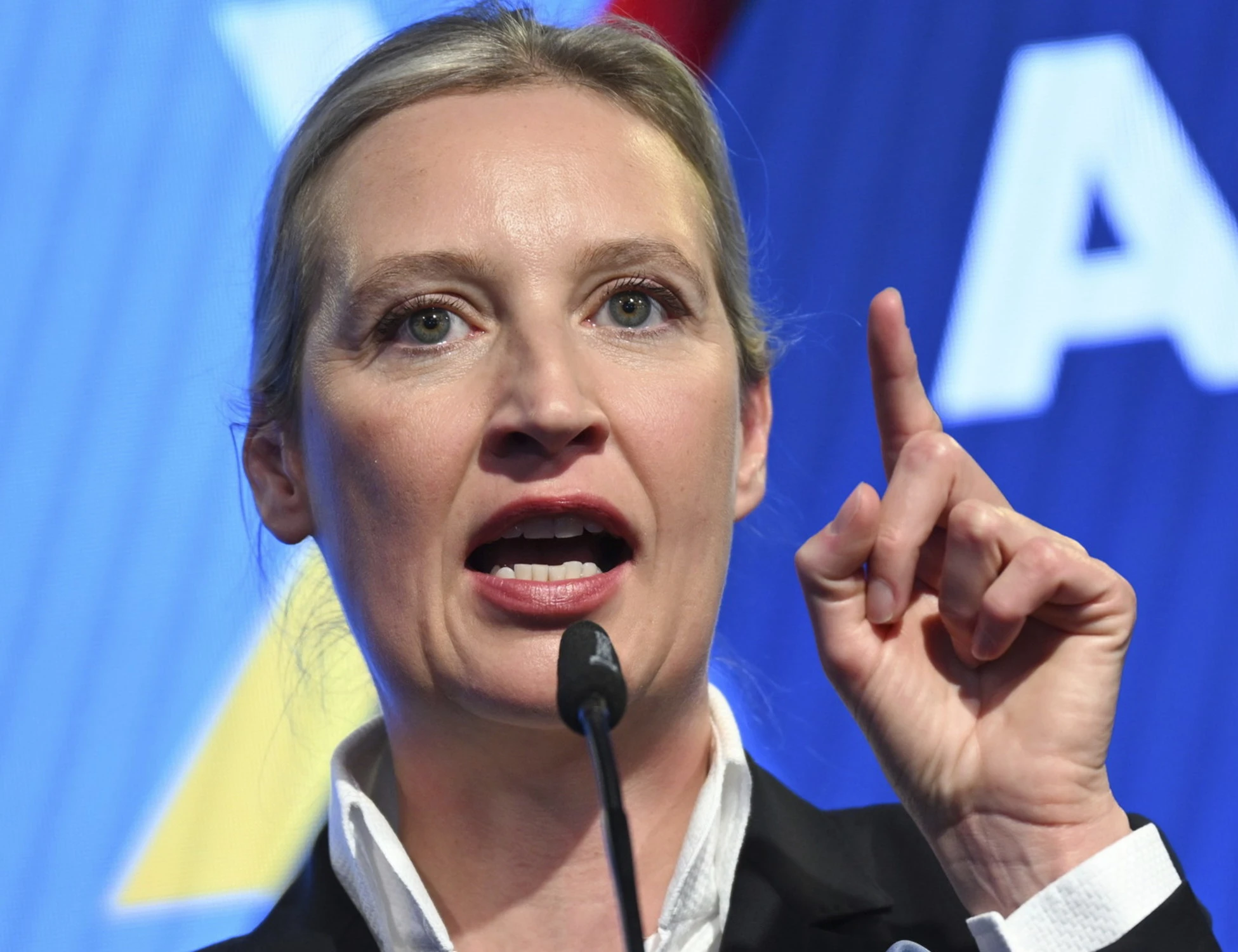 Afd, in Renania vietati gli incarichi pubblici a chi la tessera di partito. Salvini: "Insulto alla democrazia"