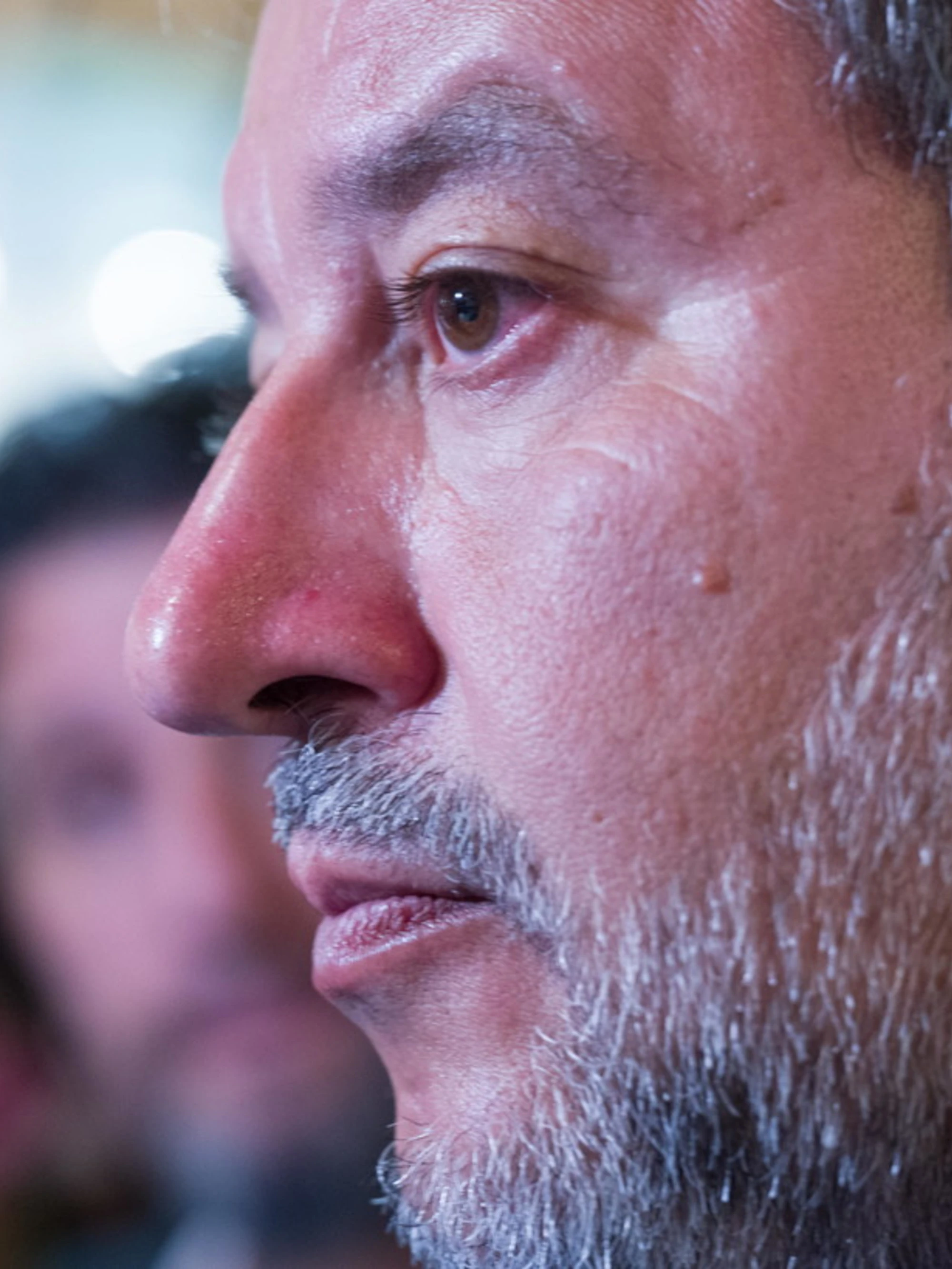 Matteo Salvini: "Ecco perché i francesi attaccano l'Italia"
