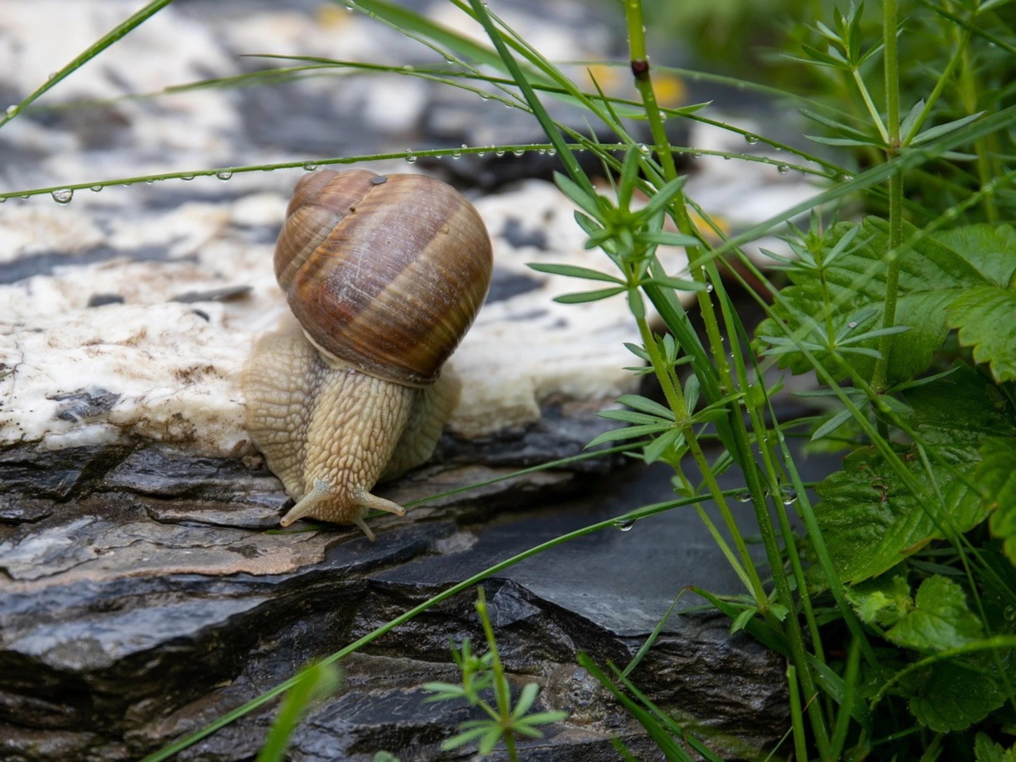 Viviamo di eccessi, ma la rivoluzione è sapersi fermare
