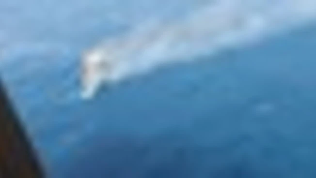 Indonesia, traghetto in fiamme al largo di Bali: passeggeri soccorsi