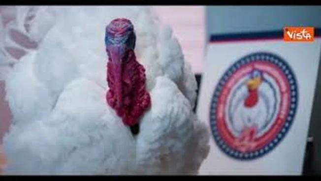 Ecco Gobble e Waddle, i due tacchini graziati da Trump per festa Ringraziamento