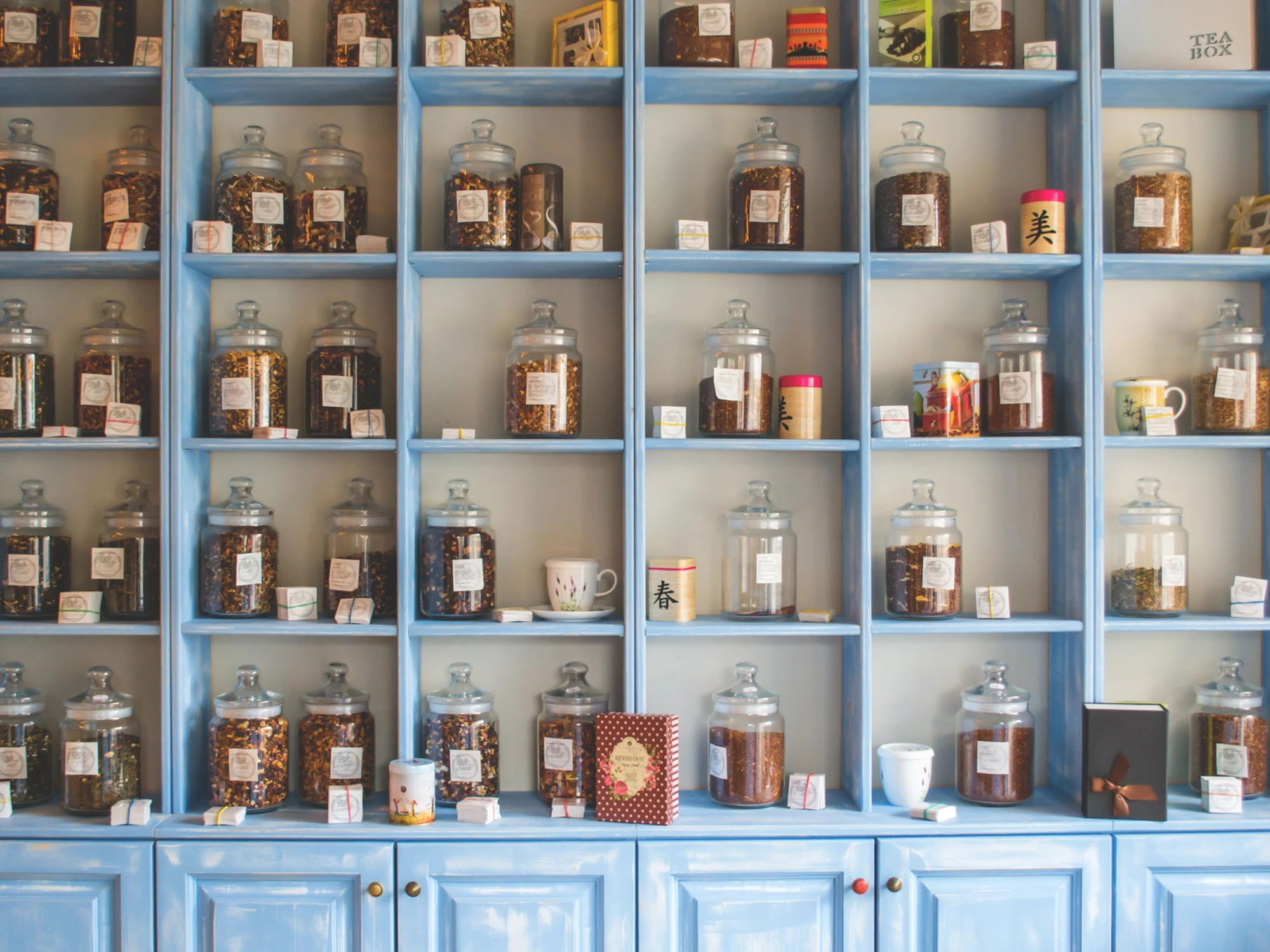 Fitoterapia, le 3 piante fondamentali per la nostra salute