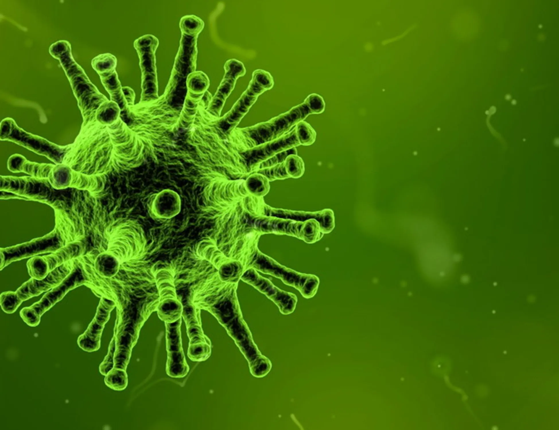 Leggi l'articolo: Influenza, il virus potrebbe arrivare prima del previsto: ecco quando