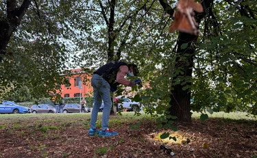 Cinisello Balsamo, neonato in un sacchetto sotto un albero: "Volevano ucciderlo"