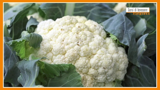 Sorsi di Benessere - Un pesto di cavolfiore salutare e pratico