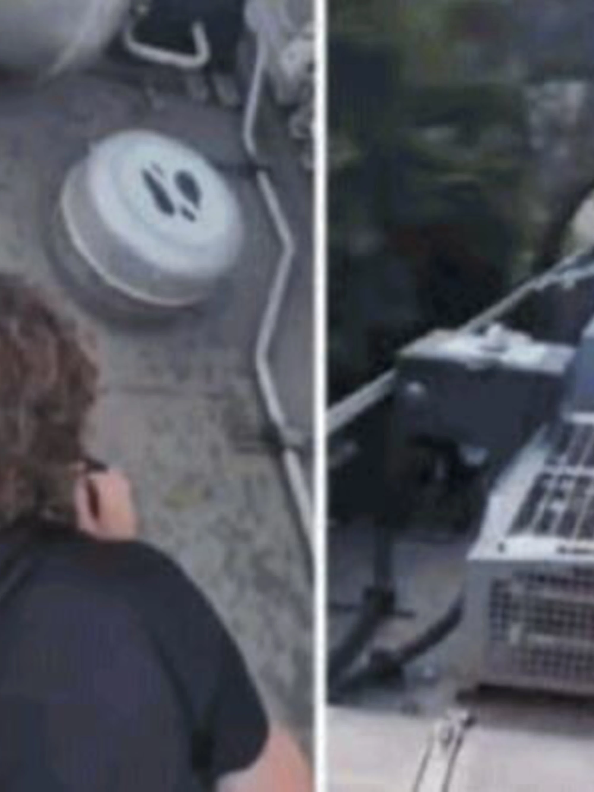 Surfano sui treni in corsa Denunciati due ragazzini
