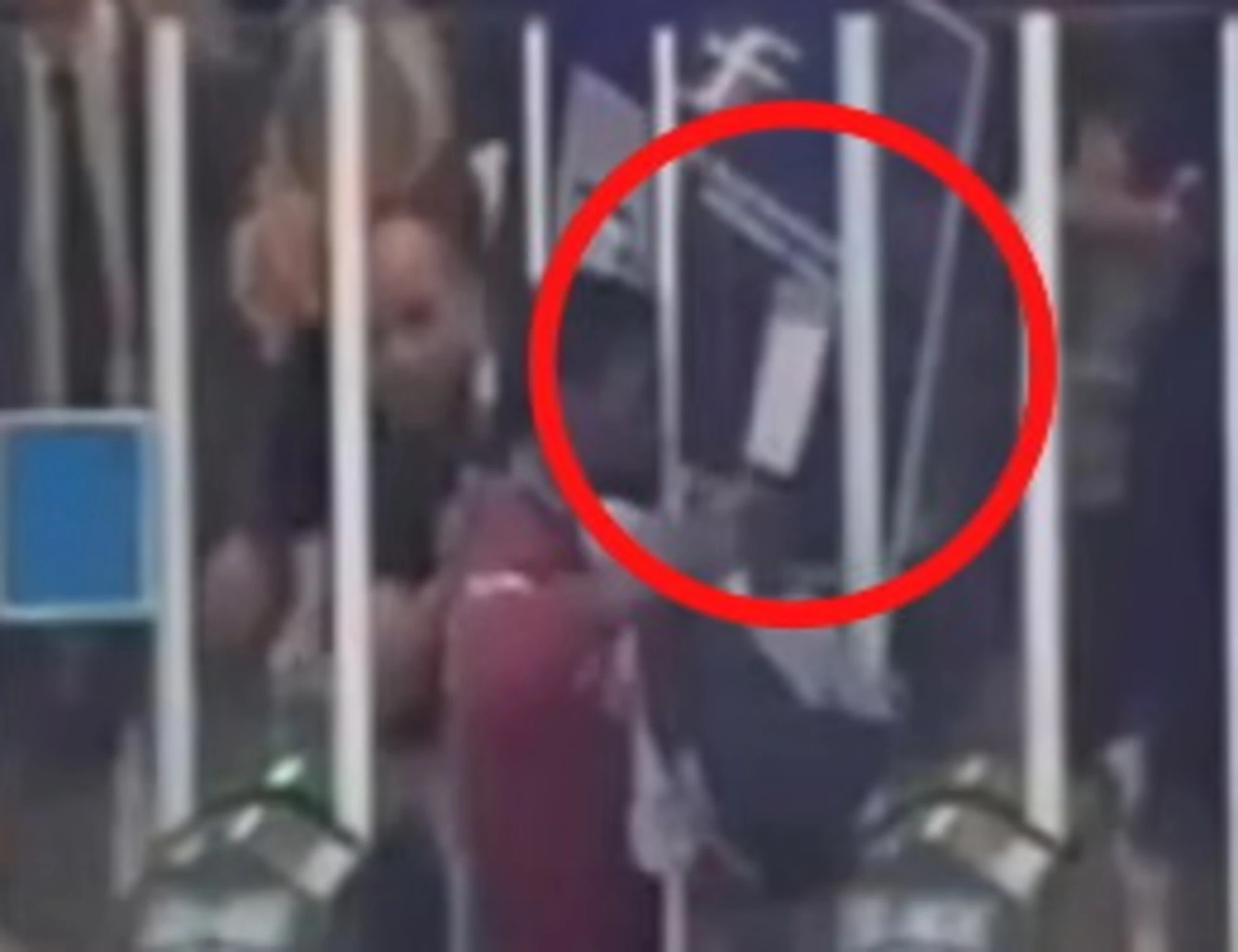 Milano, immigrato sul treno con mannaia. il video agghiacciante