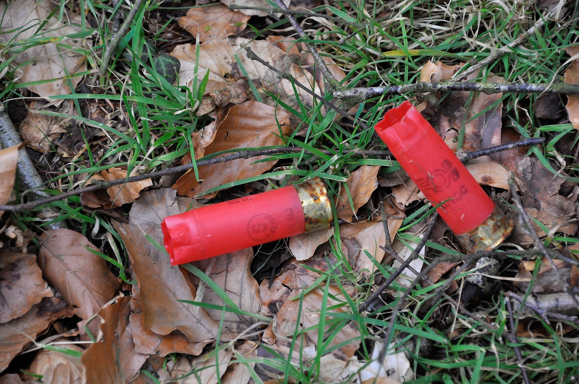 Tragedia a Padova: 15enne ucciso da un colpo accidentale del fucile del padre