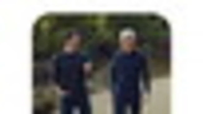 Apple, dopo 15 anni finisce l'era di Tim Cook: arriva John Ternus