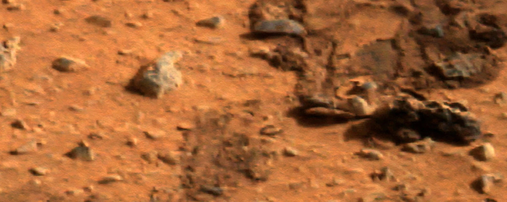 C'&egrave; davvero <br />vita su Marte: <br />il report Nasa