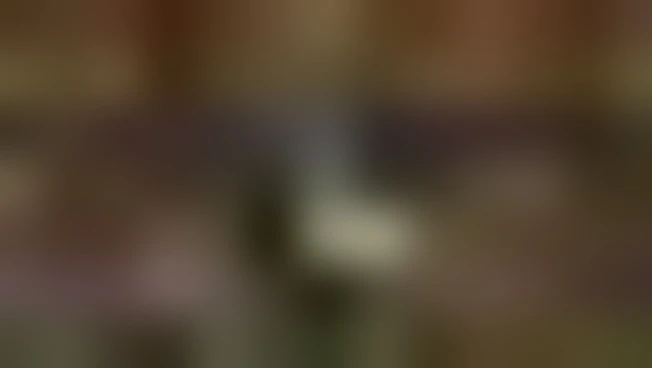 https://media.liberoquotidiano.it/rQaOny_jJVmNrHeSG08cxumX_LWp1A2edR78qxuVYvQ/width:800/quality:90/aW1hZ2VzLzIwMjUvMDkvMjUvMTIzNTEwODIwLWNkOTk2ZDk5LTRhMjItNGJjMy04NTcwLTM5NmYzNzhhMjFlYy5qcGc.webp