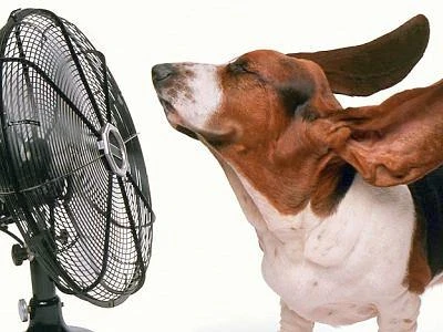 Stare al fresco senza riscaldare il pianeta, basta usare bene i fluorocarburi