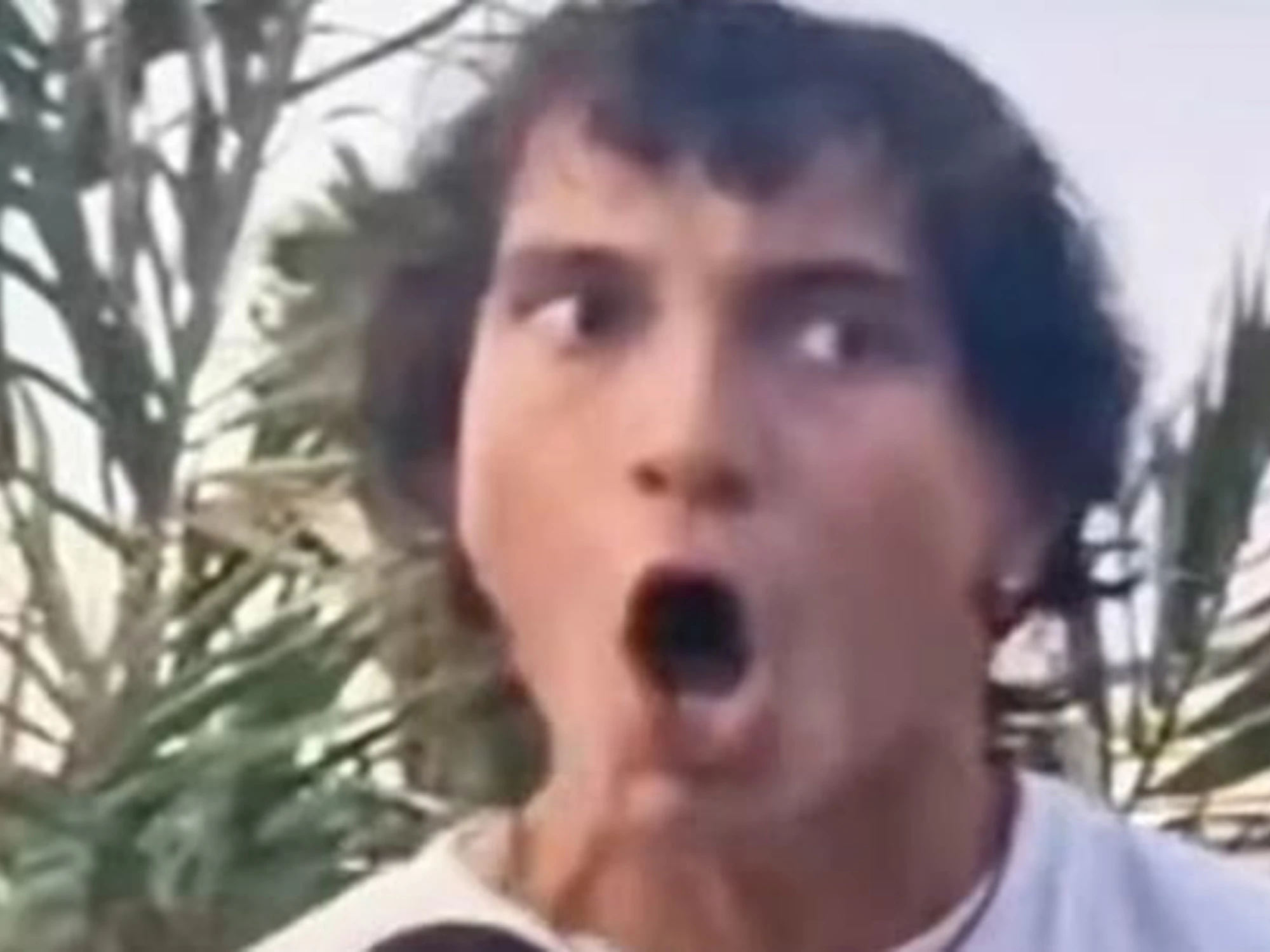 Salvini punge il "No Ponte": "Il mio nuovo eroe"