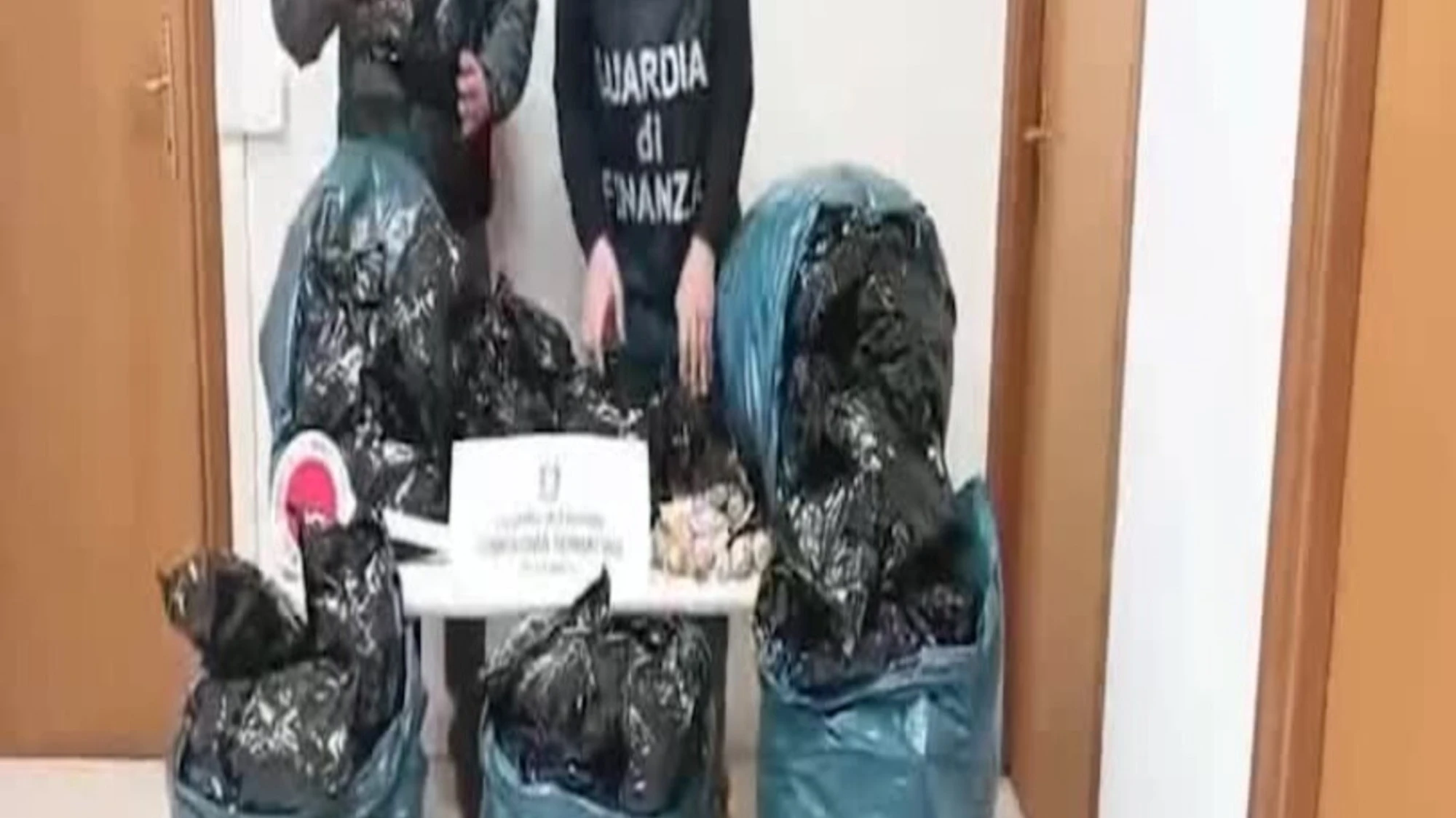 Latina, in casa 20 kg di bulbi di papavero da oppio: chi finisce in manette