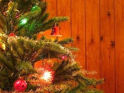 Dalla plastica ai gusci di noce, è green l'albero con materiali di recupero