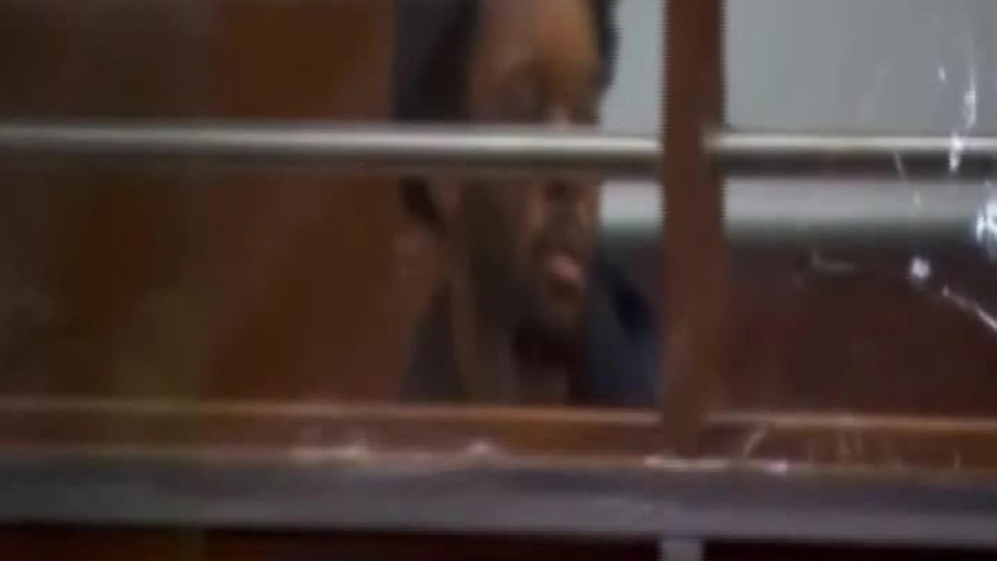 Il rapper D4vd arrestato per l'omicidio di una 14enne