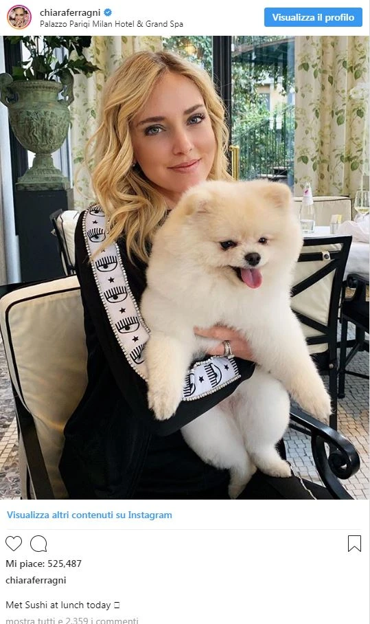 Chiara Ferragni, l'insulto irriferibile: "Che belle cagne", la foto che ha scatenato l'orrore a luci rosse