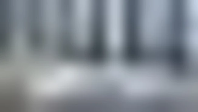 https://media.liberoquotidiano.it/raVBMXfGYJue39m_cKrH0mjrFBUPv00Z_co_L0oH7aI/width:800/quality:90/aW1hZ2VzLzIwMjYvMDUvMDgvMTY0NjMxMTY2LTNiOGY5YzcwLTk0YmQtNDExYS1hZWM0LTk4NWE1YWRhNGUxZC5qcGc.webp