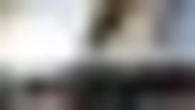 https://media.liberoquotidiano.it/rbQCDWql7haBUqFYrrsXhA2zSRACfsZCBJDS8ORUr1k/width:800/quality:90/aW1hZ2VzLzIwMjUvMDkvMTcvMTYxMzQ0Mzg0LTBkN2JiNDg2LWJlMjgtNDhmZS05Mzc2LTIzNzI2MzZkNzJmNC5qcGc.webp
