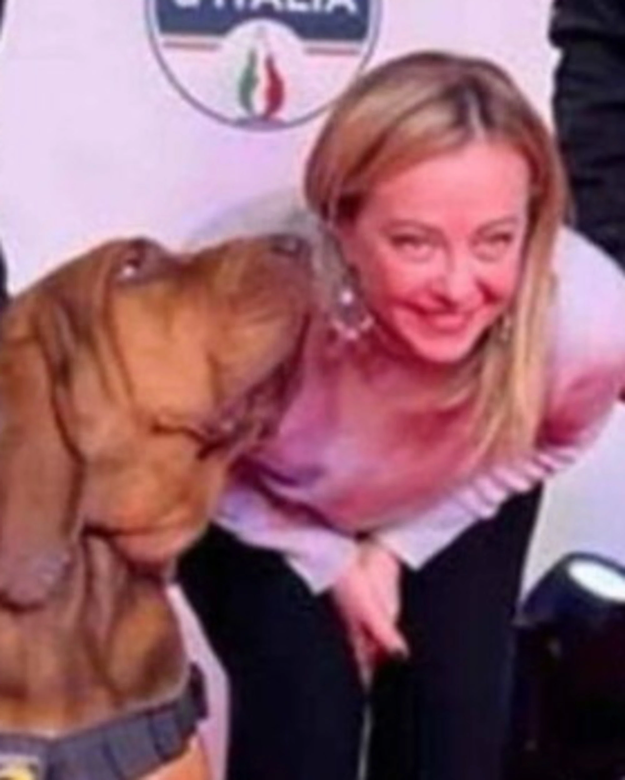 Bruno, il cane eroe premiato dalla Meloni: una morte orribile