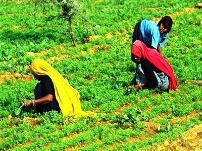 Investire di più e meglio nell'agricoltura per ridurre la fame e la povertà