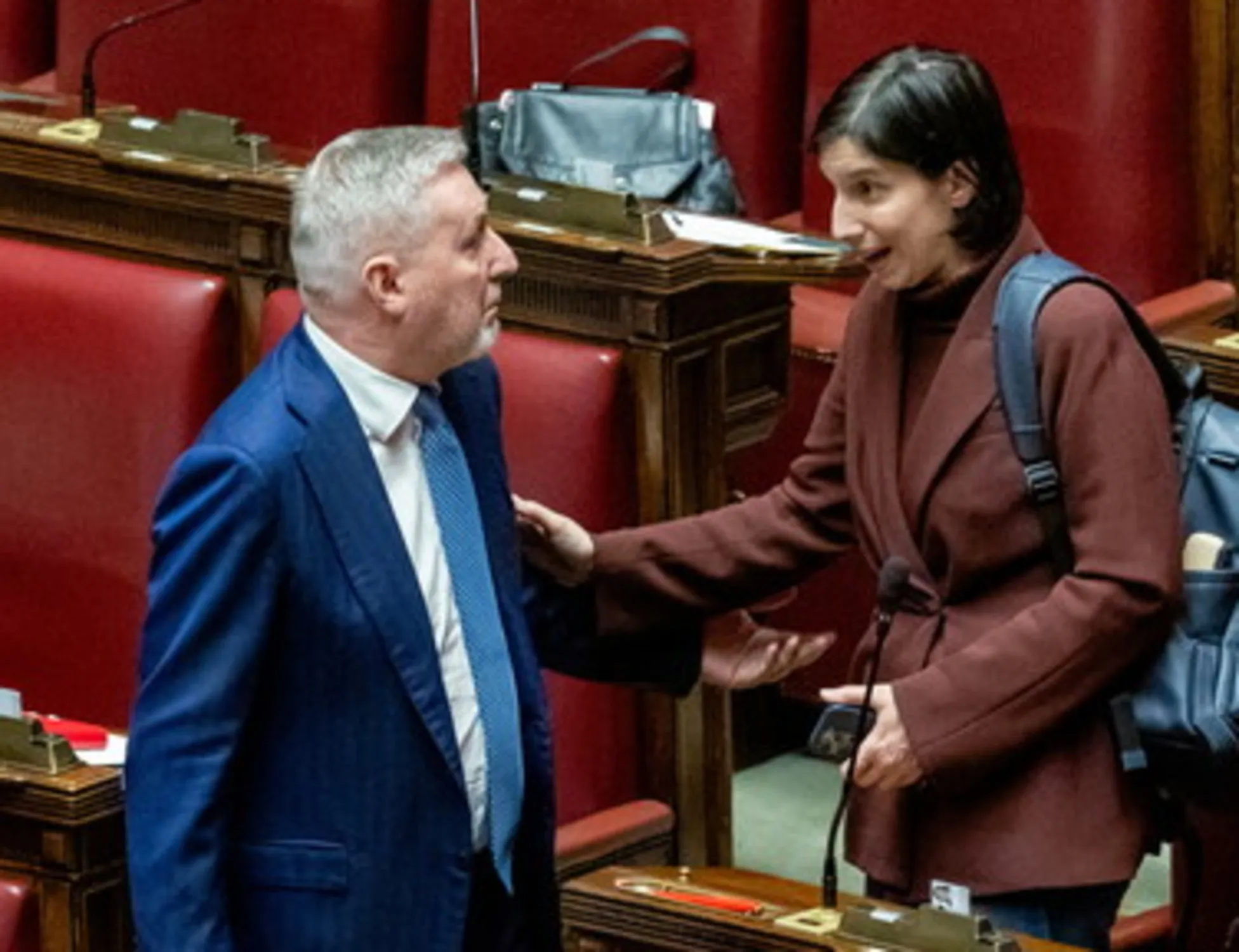 Leggi l'articolo: "Vannacci? Quel che Meloni deve chiarire": Schlein è alla frutta