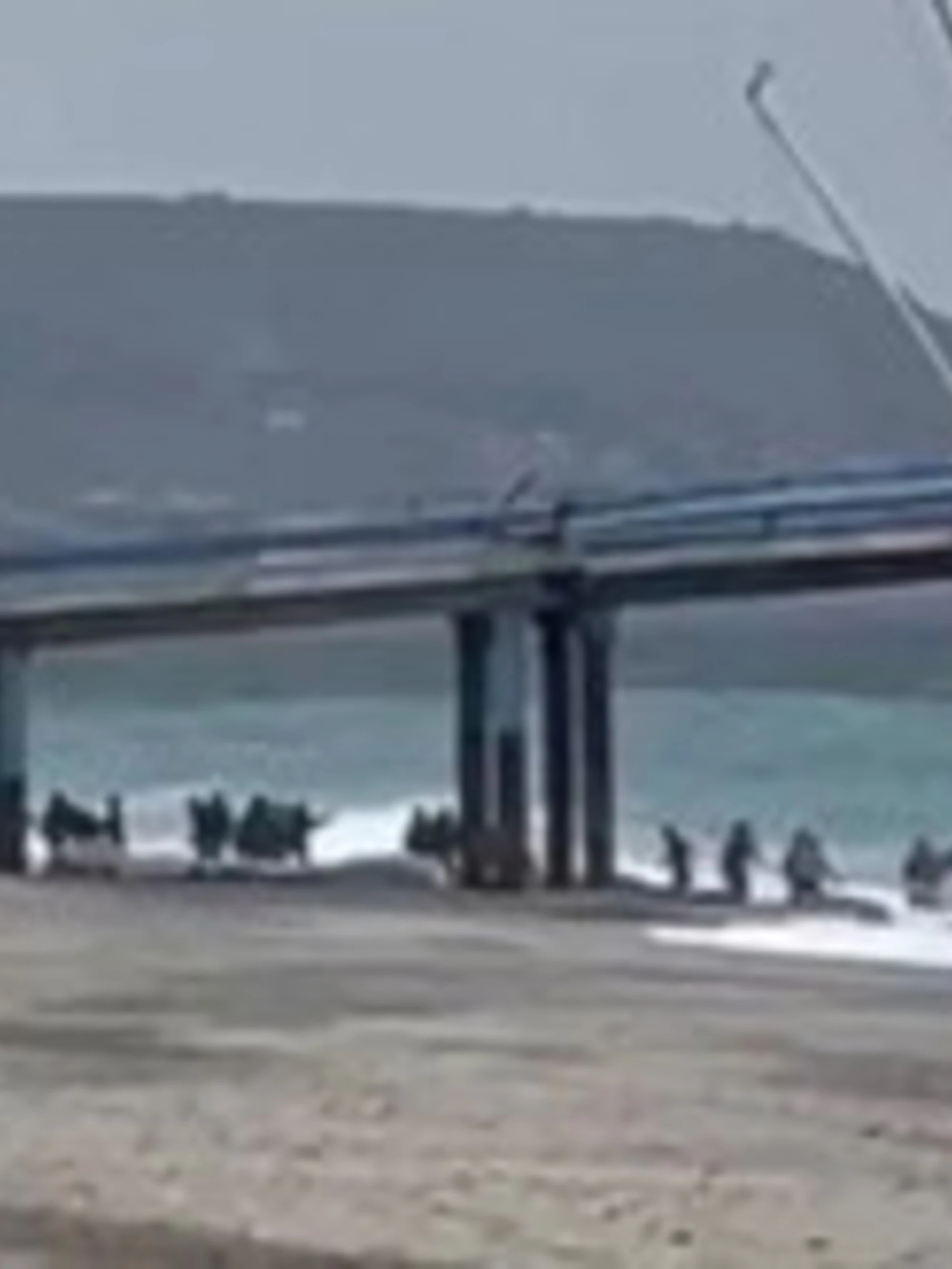 Traffico di migranti, 25 arresti: il ruolo della "frangia ucraina"