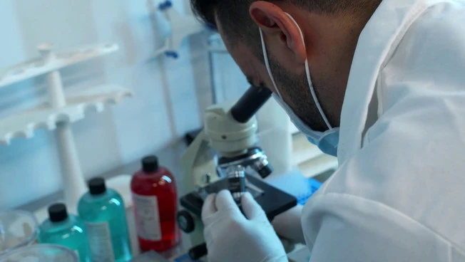 Un "interruttore" molecolare frena la progressione del cancro