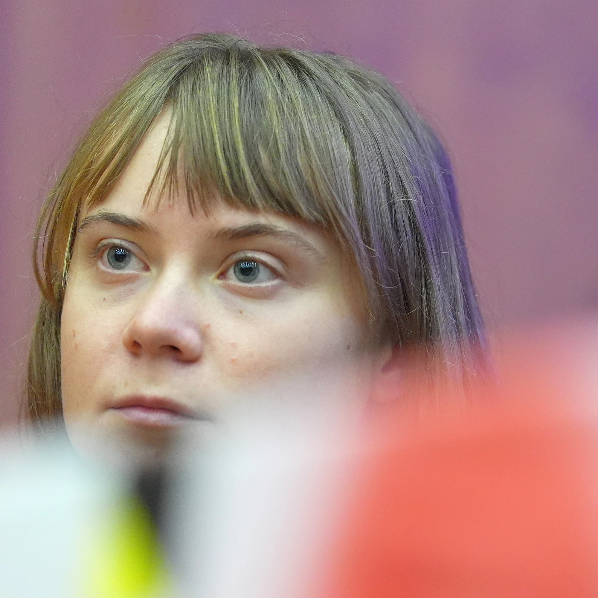 Scempio a Venezia, la grande paura di Greta indagata