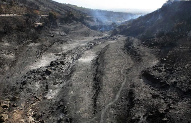 Sardegna, lotta agli ultimi roghi