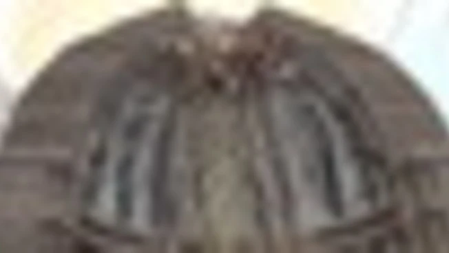https://media.liberoquotidiano.it/rojDCEDuZplQbHhnW7sZF5og73dISSLQ4wlnl1H7PK0/width:800/quality:90/aW1hZ2VzLzIwMjUvMTAvMDkvMTYzNzQ2MzI3LWM3Zjc0MDRmLWM1MmQtNGRjZS04Y2QwLWE4OTJkZjgyMDJiOS5qcGc.webp