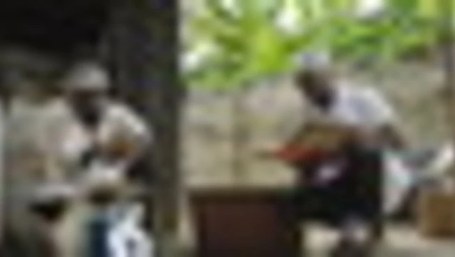 L'Oms ricorre all'IA per "provare" efficacia medicina tradizionale