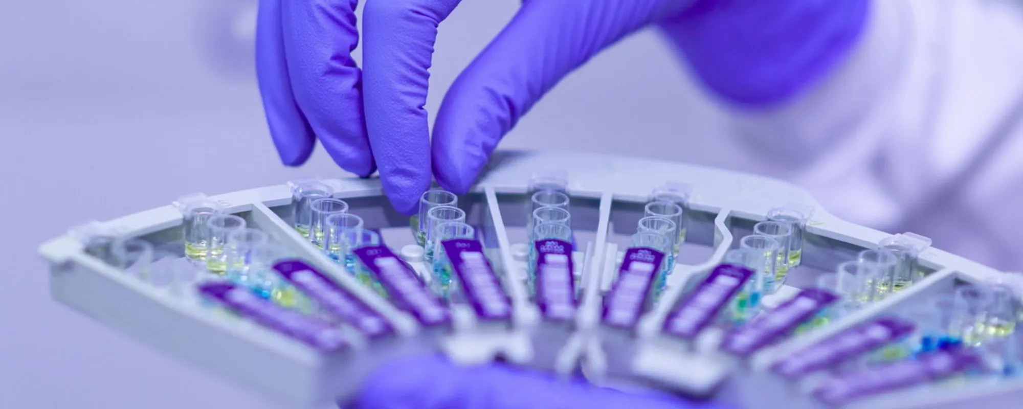 Ossigeno, la chiave per far ricrescere gli arti agli uomini