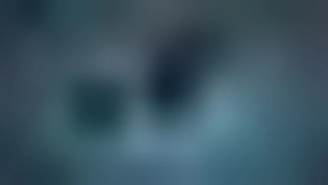 La formazione continua diventa priorità nel settore investigativo