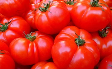 Pomodori in frigorifero, un errore da evitare: ecco i rischi