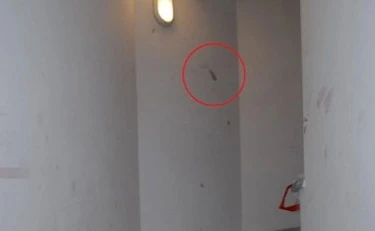 Garlasco, il sospetto atroce della Bruzzone: "Un territorio che mi inquieta"