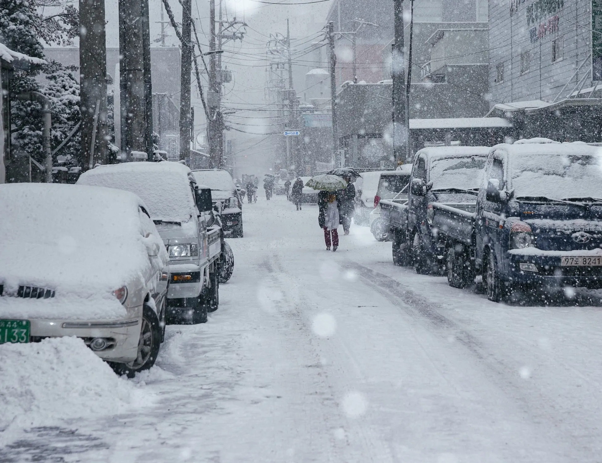 Leggi l'articolo: Brusca virata termica: neve e crollo delle temperature, la data da cerchiare in rosso