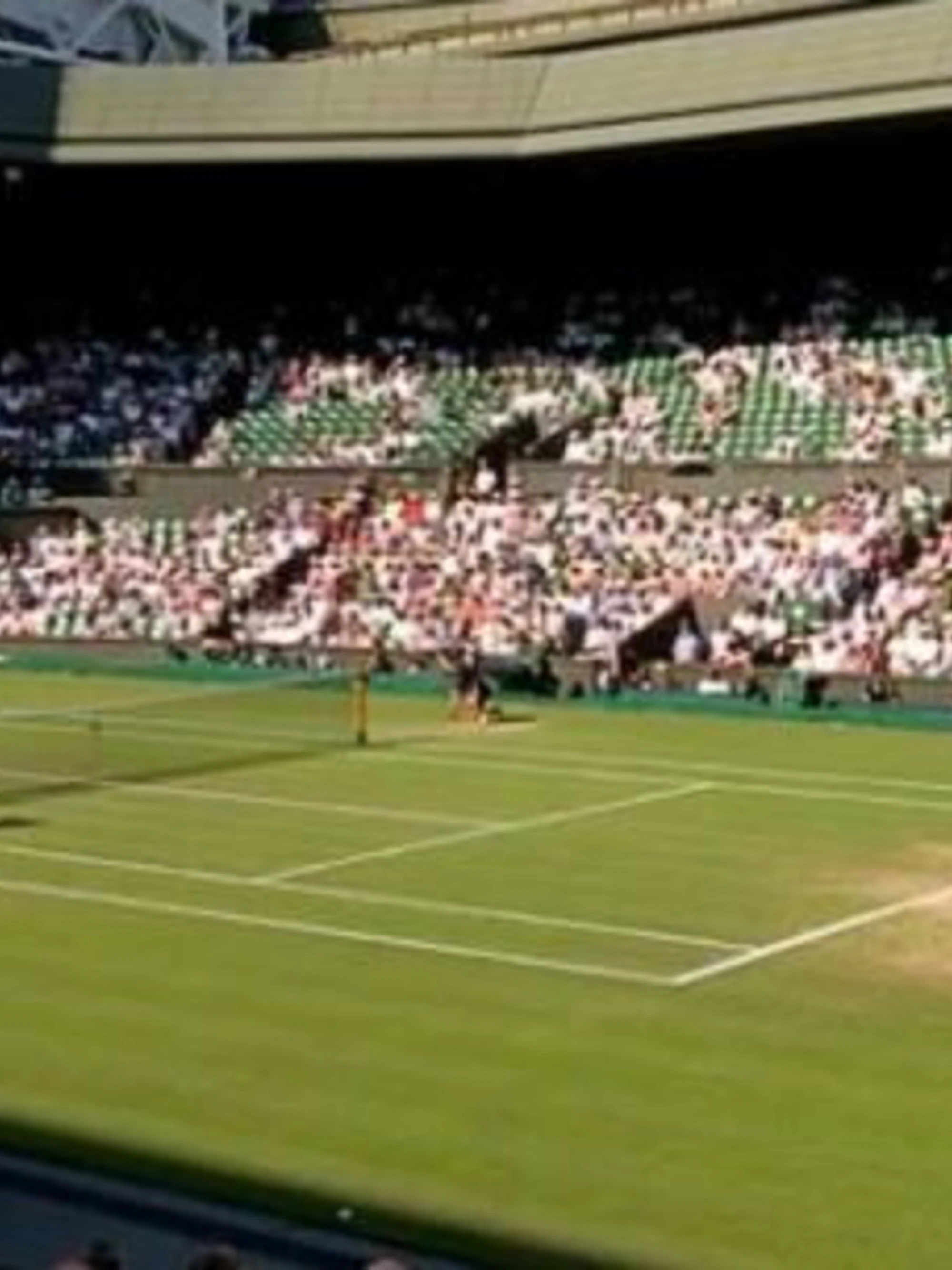 Sinner-Djokovic: perché gli spalti sono vuoti, mentre giocano...