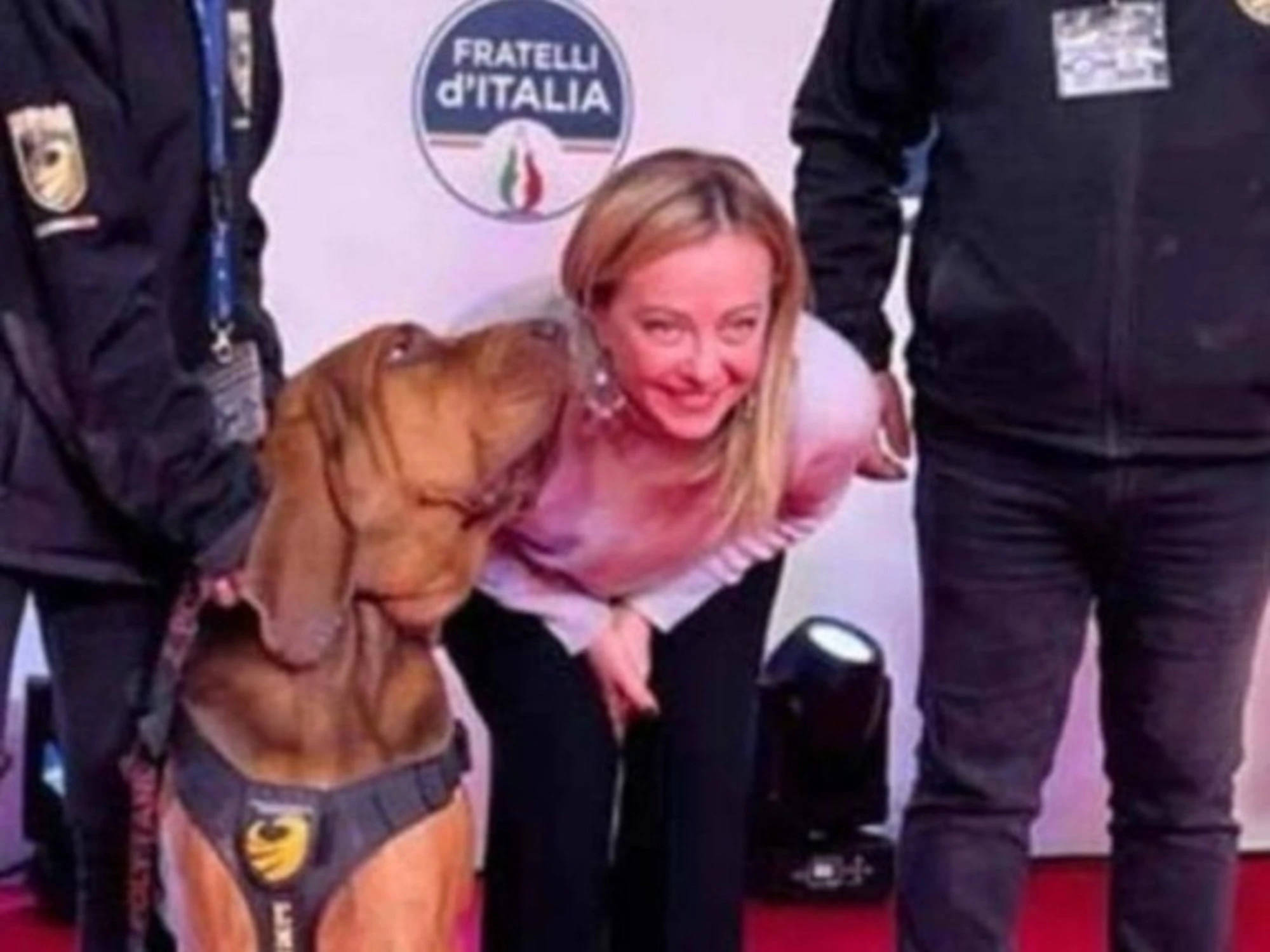 Cane Bruno, l'addestratore: "Io ero il bersaglio, so chi è stato"