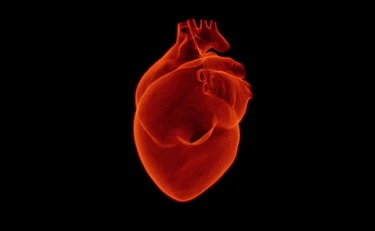 Ondata di gelo, cuore a rischio: perché cresce il rischio-infarto