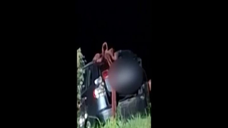 Torino, auto finisce nel Po: le immagini del recupero della vettura