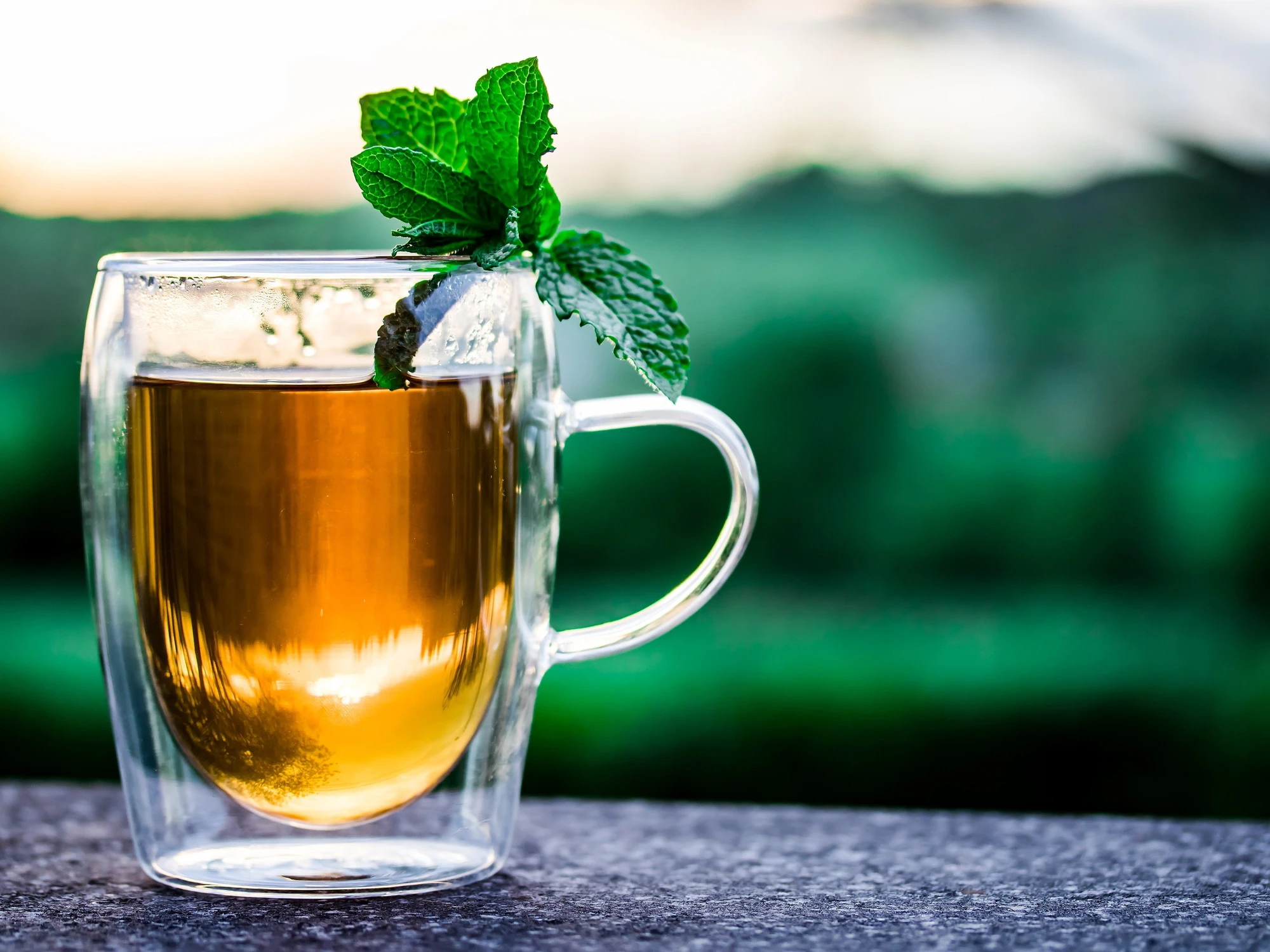 Menta, non solo aroma: stomaco, intestino e gonfiori