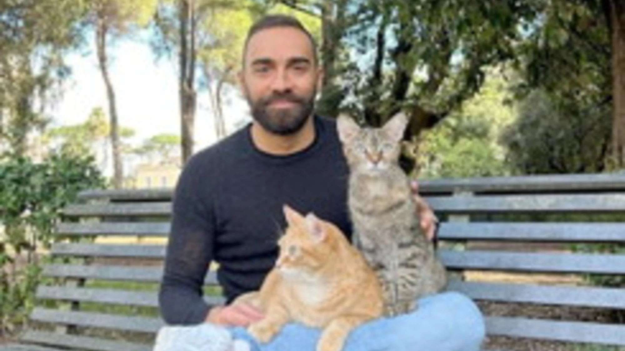 GATTI: COME ACCAREZZARLI?  TUTTI I SEGRETI AL SUPERCAT SHOW